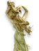 Florence Giuseppe Armani Sculpture, Aurora 844C, Limited Edition 4753/7500- with Box and COA-EZ Jewelry and Decor