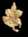 Elegant 18K Yellow Matt Orchid Brooch with Pearl. 1.7”-EZ Jewelry and Decor