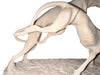 Vintage "Racing Greyhounds" by A. Belcari for Nuovo Capodimonte, White Bisque-ware on Wood, Greyhounds Sculpture, Made in Italy, Marked-EZ Jewelry and Decor